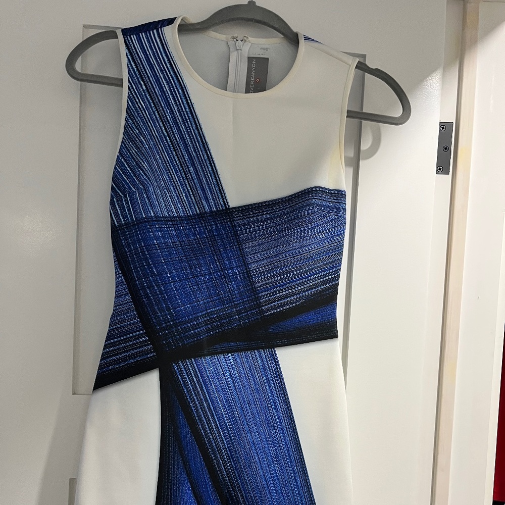 Stained but washable, clover canyon dress white and blue